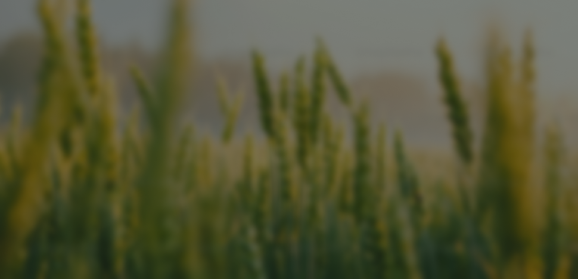 Harvest background