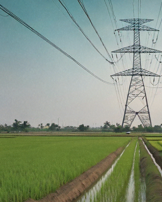 Over 100 Rice Mills Address Power Tariff Disparities
